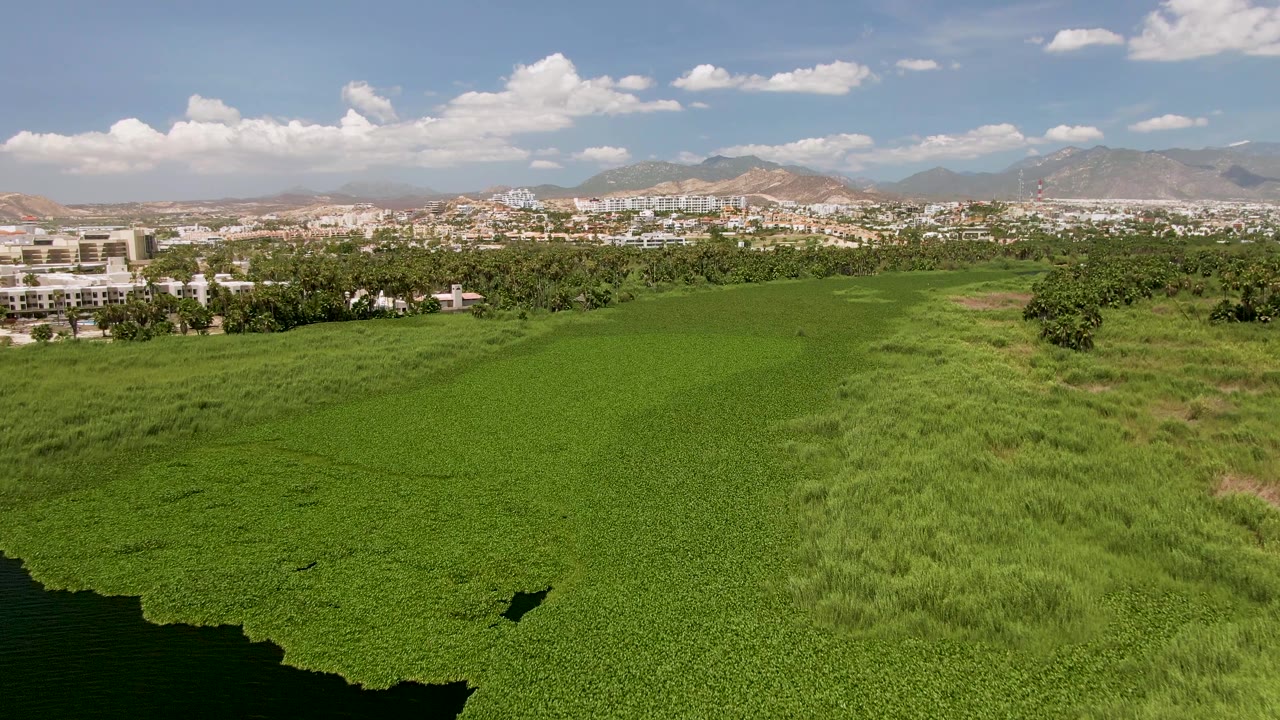 Green field and water from above with buildings and mountains in the distance.