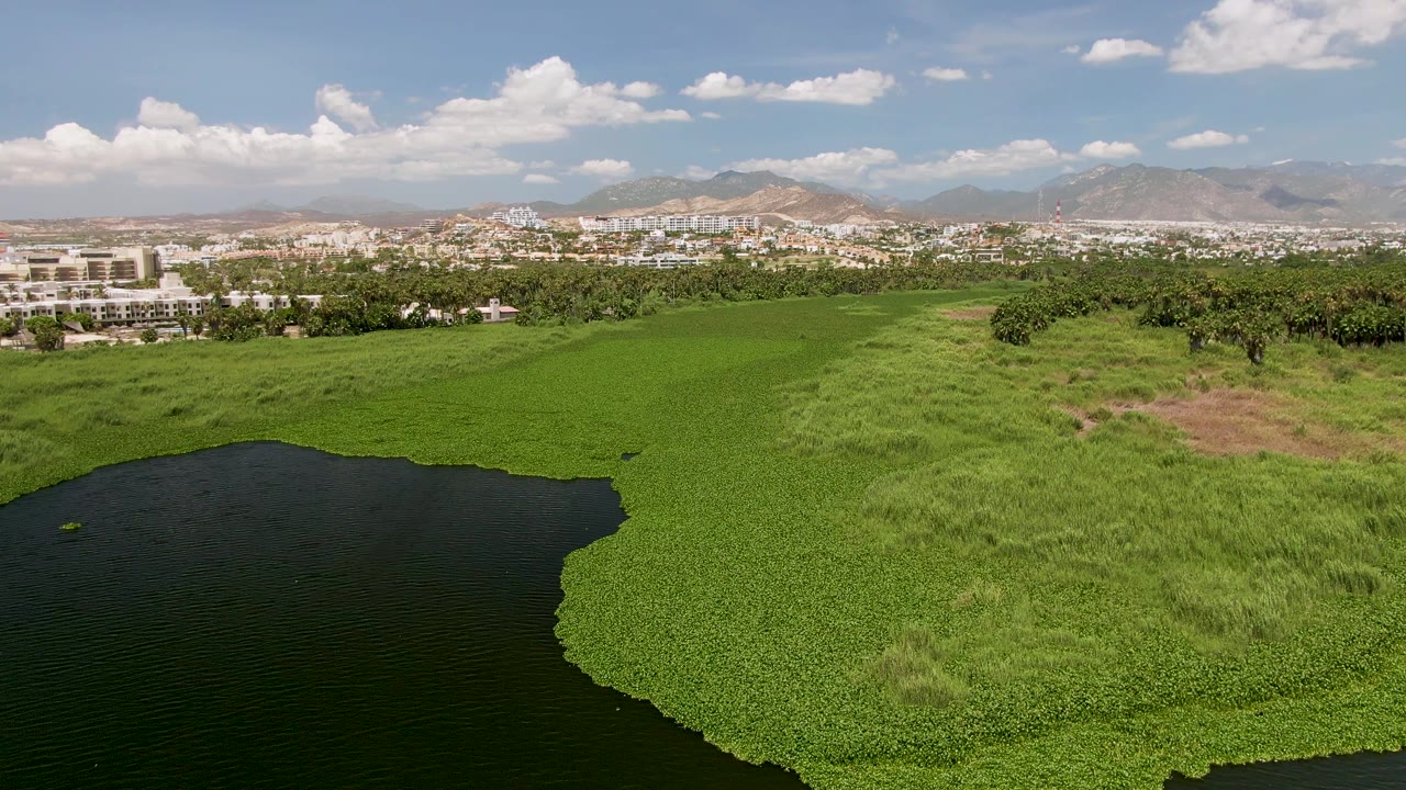 Second frame over San Jose del Cabo shows the lake edge slightly farther across the lower frame, with dense green vegetation, a tree line, distant buildings, mountains, clouds, and no visible people.