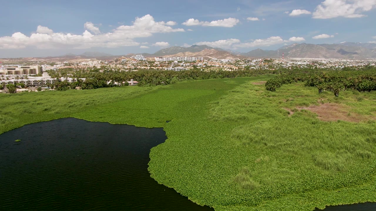 Third frame in San Jose del Cabo places a dark water pocket at lower left, wide green vegetation across the middle, a pale building cluster beyond the trees, mountains, and no visible people.