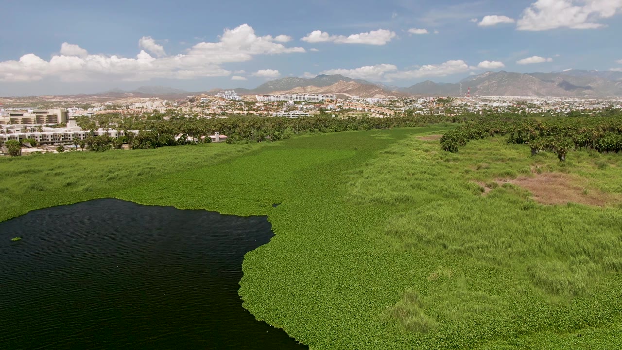 Fourth frame over San Jose del Cabo shows the dark lake continuing from the lower left, a broad bright green marsh, a darker tree band, distant buildings, mountains, and no visible people.