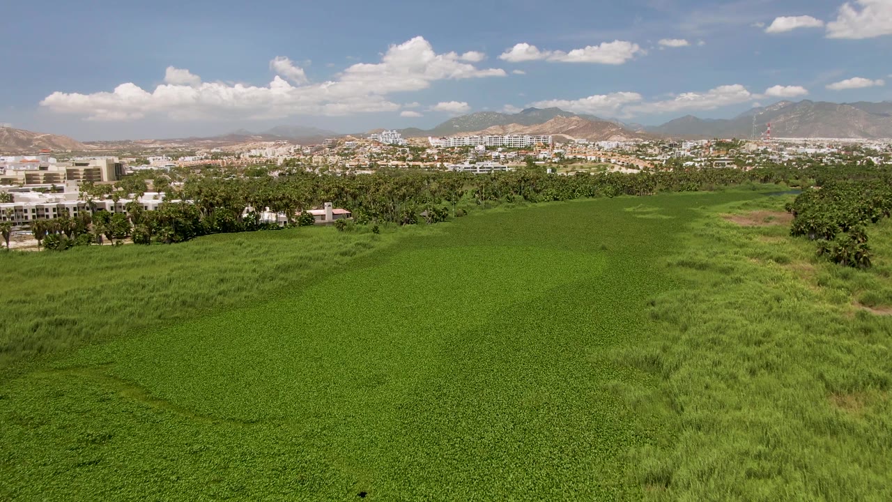 Aerial view over a bright green field with buildings, trees, mountains, and clouds beyond.