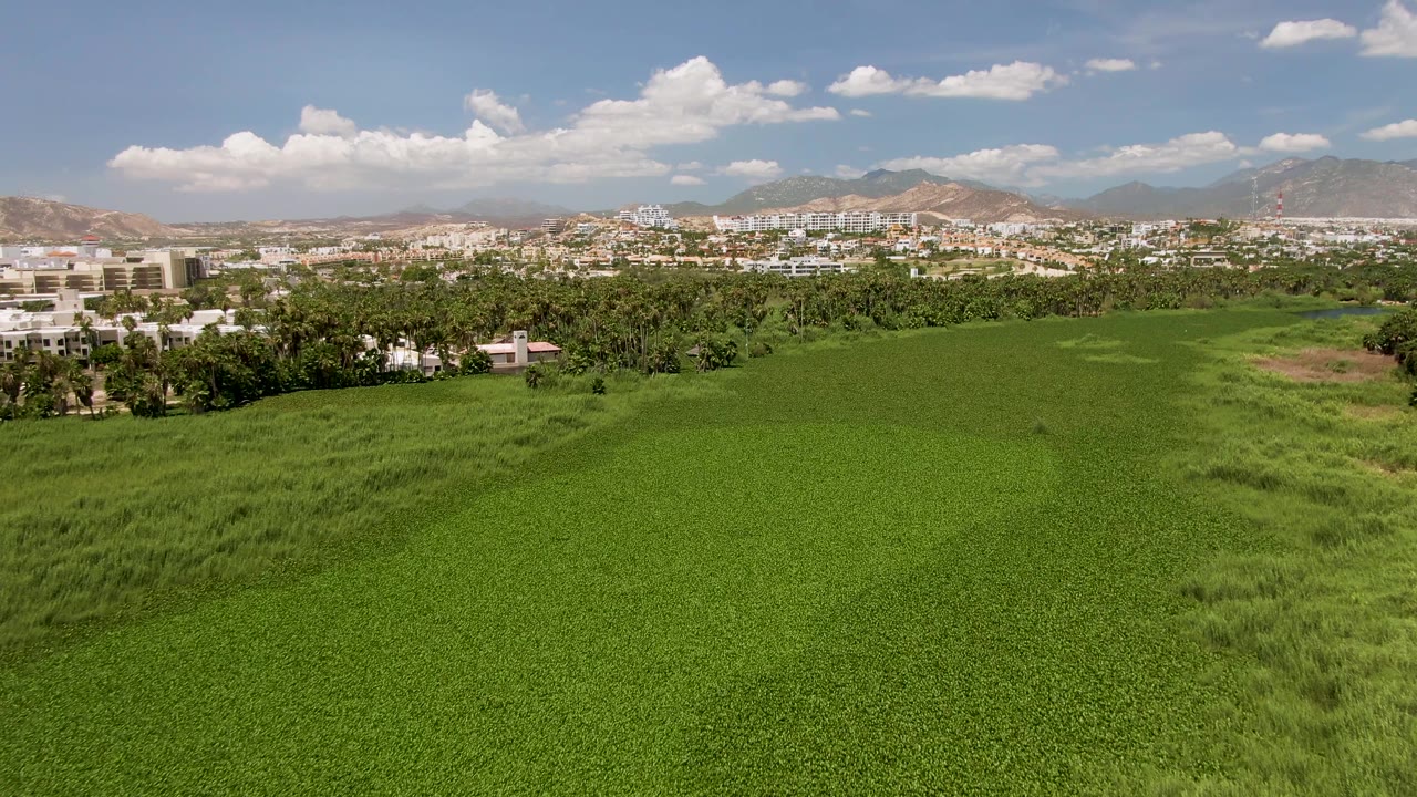 Later aerial frame over San Jose del Cabo fields, with the tree band and low buildings running across the horizon under scattered white clouds, and no visible people.