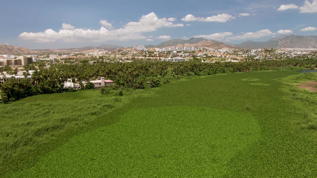 Aerial frame from San Jose del Cabo showing a wide green field in front of trees, distant city buildings, hazy mountains, white clouds, and no visible people.