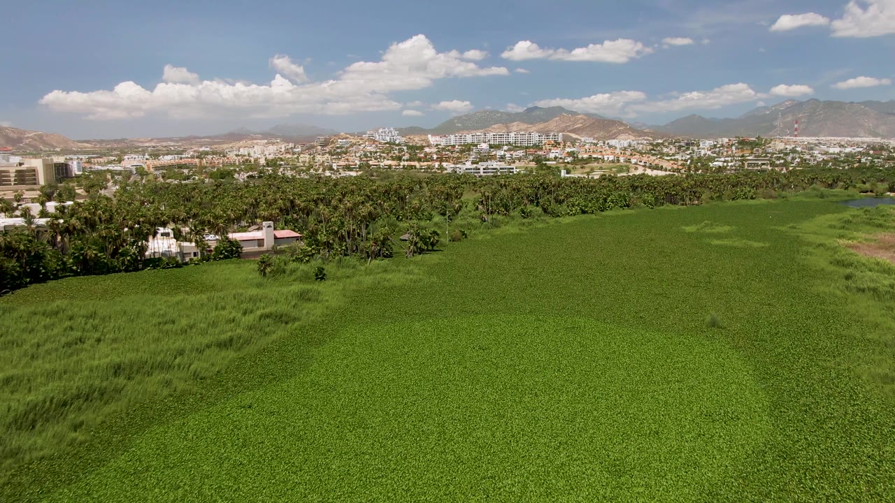 Green field and tree line with distant city buildings and mountains under a partly cloudy sky.