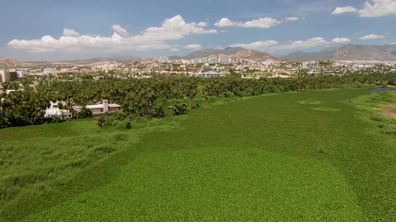 Aerial frame from San Jose del Cabo with a small light-colored building near the trees, dense green field in front, city buildings in back, mountains beyond, and no visible people.