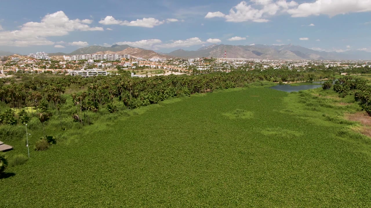 Opening aerial frame over a wide green field in San Jose Del Cabo with palms, a small water area, distant buildings, mountains, scattered clouds, and no visible people.