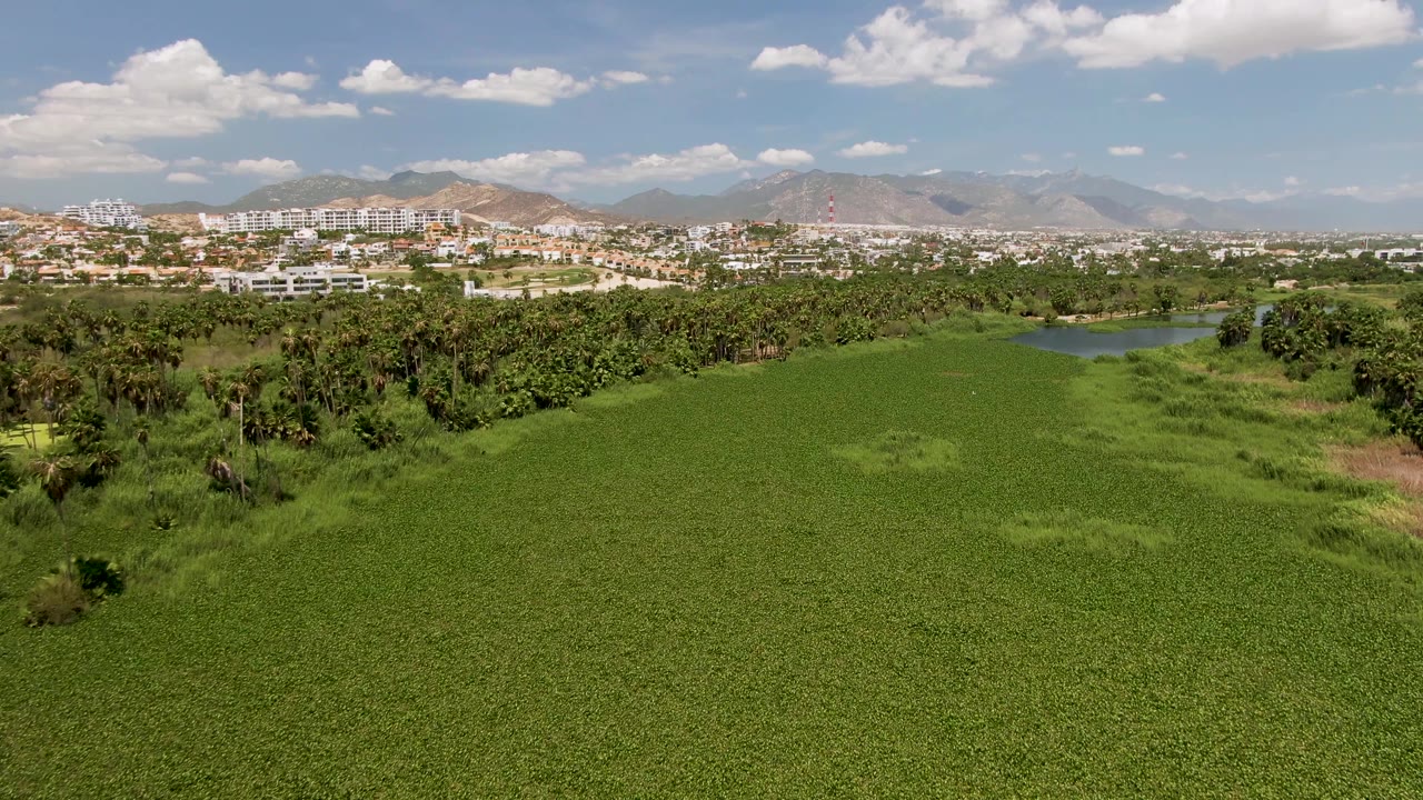 One second into the clip, the aerial view in San Jose Del Cabo keeps the green field dominant while the tree line, water, city buildings, mountains, and no visible people remain in view.
