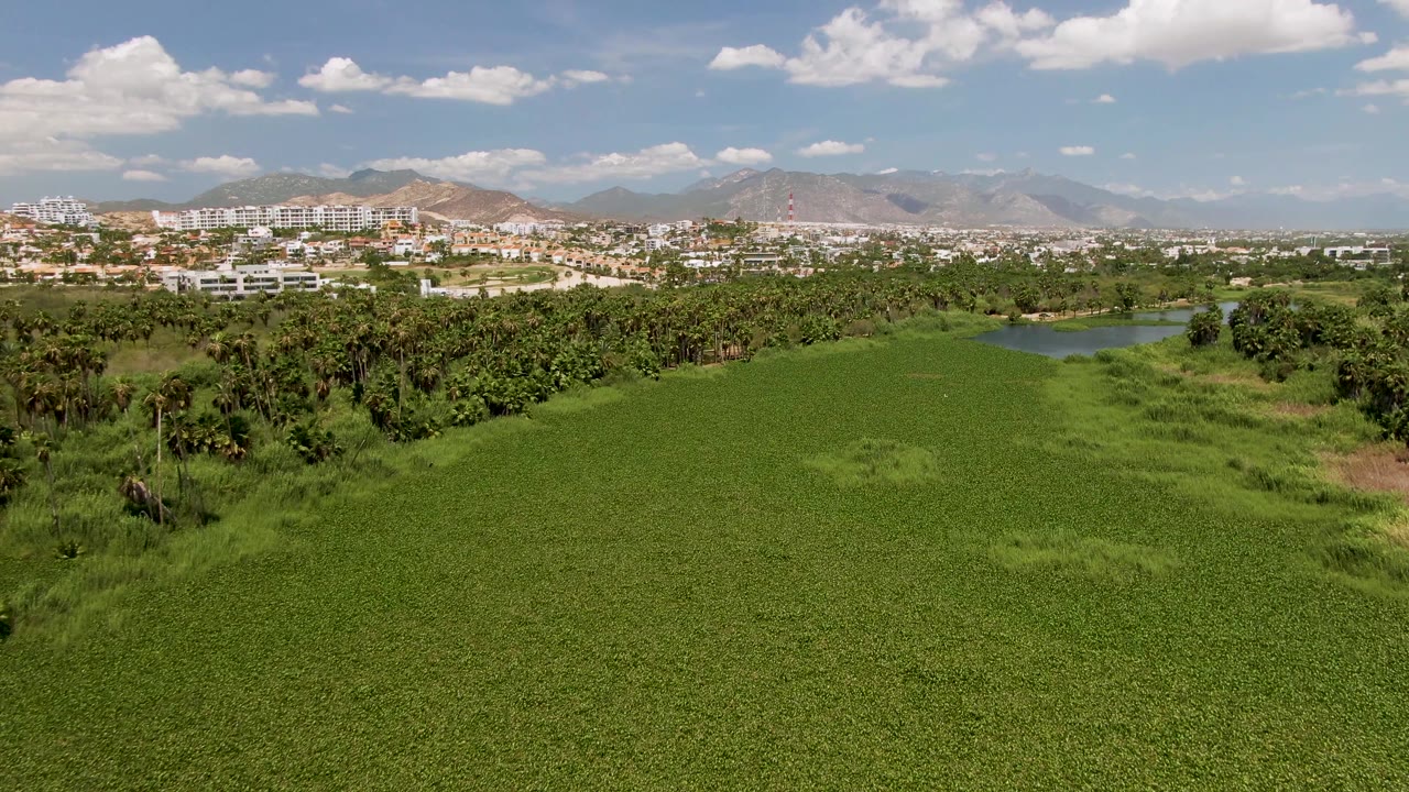 At 0:02, the San Jose Del Cabo aerial frame shows broad green ground cover, a dense tree band, a small water inlet, distant development, mountains, clouds, and no visible people.