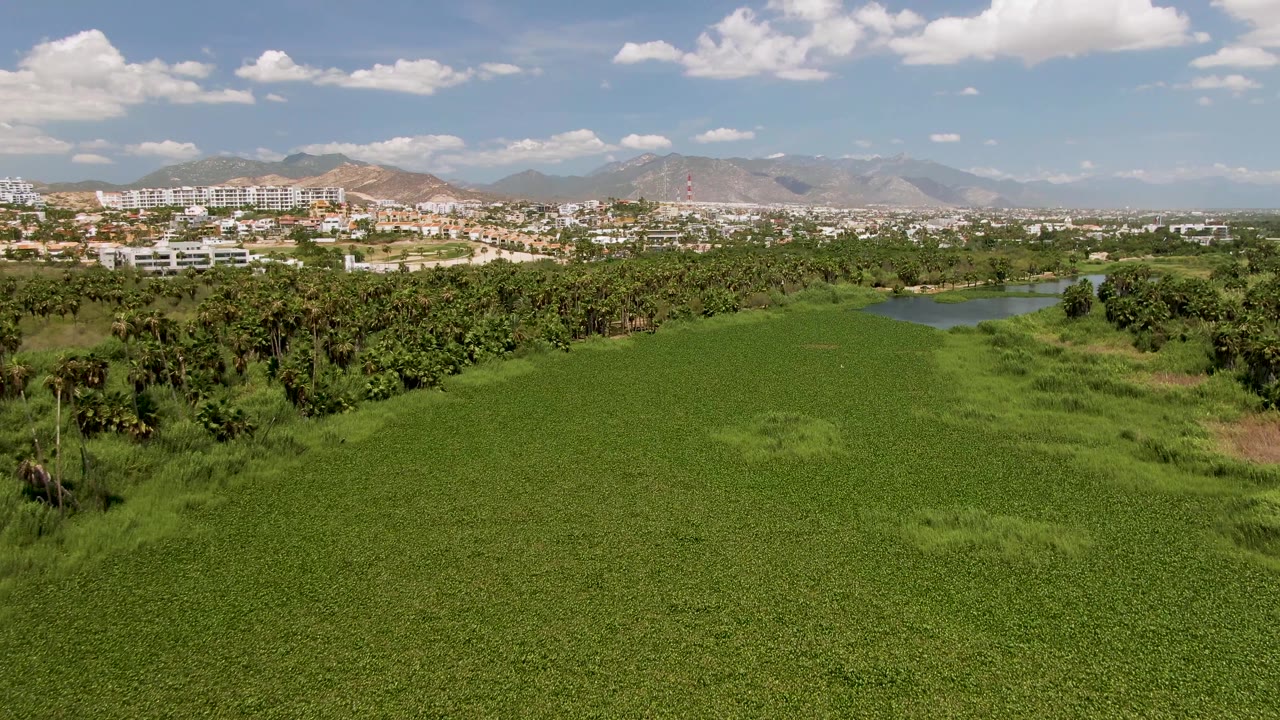 Drone view across green field toward palms, water, low buildings, and mountains.