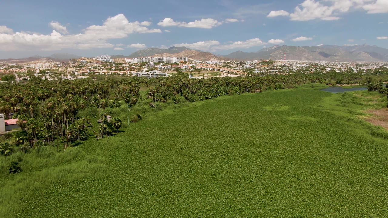 Expansive green vegetation with trees, a small roof edge, distant buildings, and mountains.