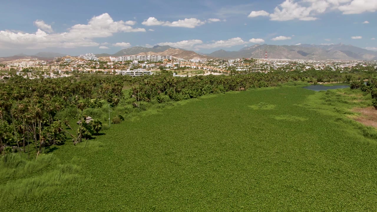 Mid-clip frame in San Jose del Cabo with the green field dominating the foreground, dense trees to the side, distant city blocks, mountain ridges, and no visible people.