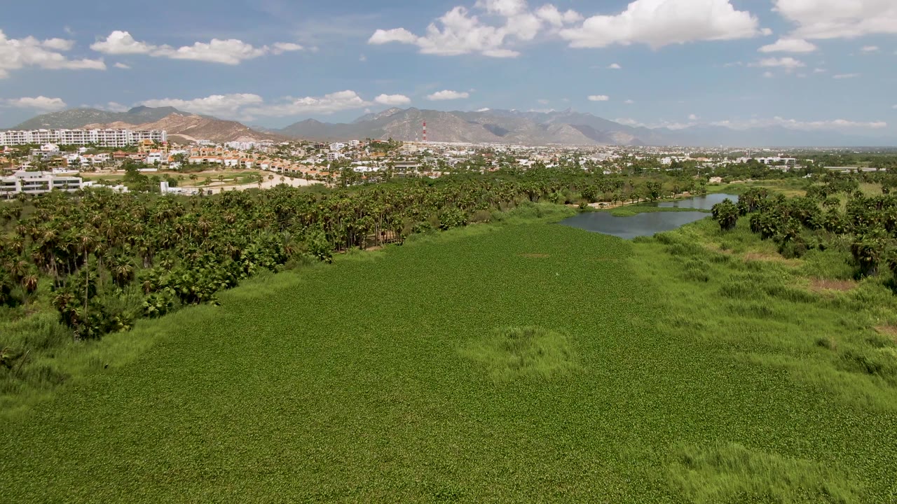 Aerial frame from San Jose Del Cabo showing a wide green field in front, a tree belt and small water body beyond it, distant buildings, mountains, scattered clouds, and no visible people.