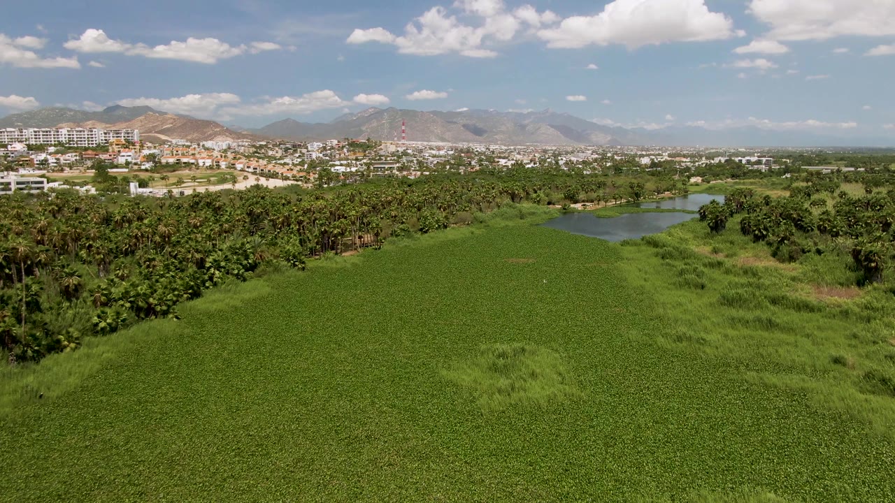 Aerial frame from San Jose Del Cabo with the green field filling the lower frame, darker trees around a small water body, hillside buildings at left, mountain ridges in the background, and no visible people.