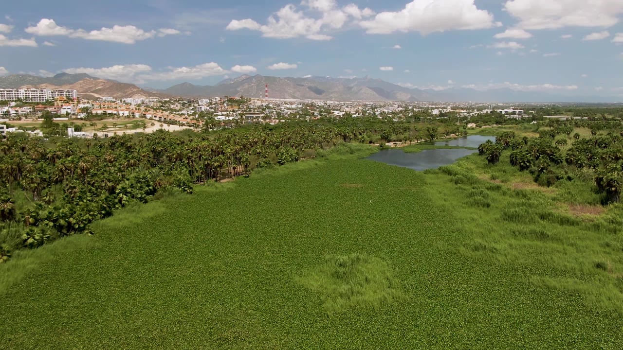 Aerial frame from San Jose Del Cabo showing textured green vegetation in the foreground, dense trees along the right side, a small water body near the center, distant structures, mountains, and no visible people.