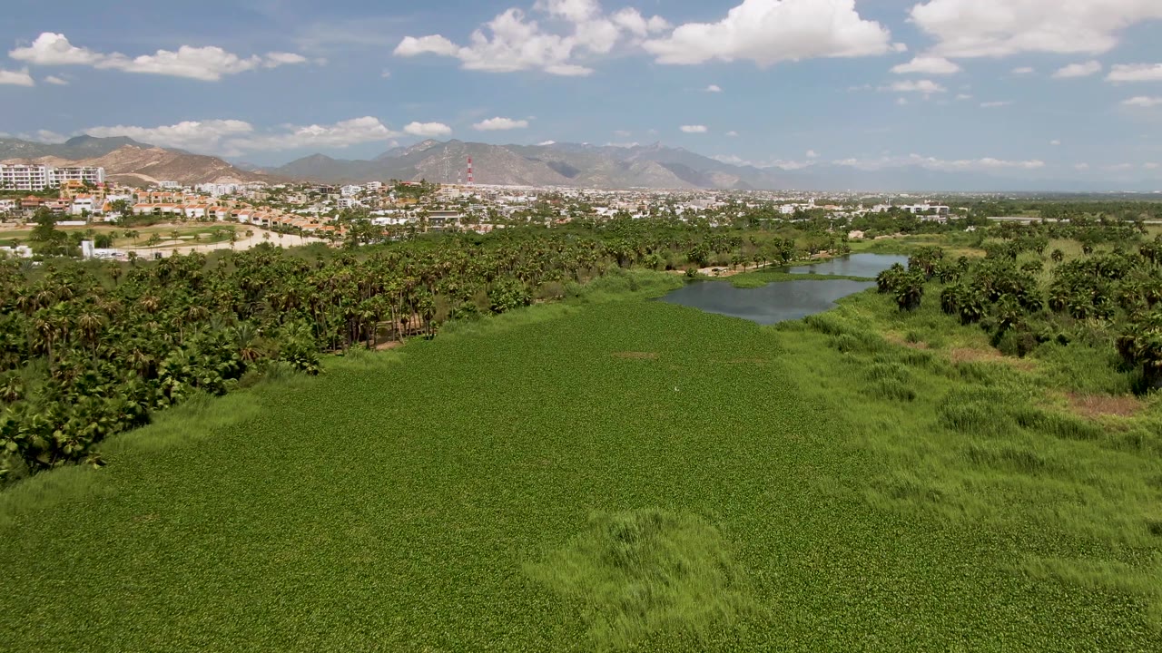 Drone view across a green field toward trees, water, buildings, and mountains under clouds