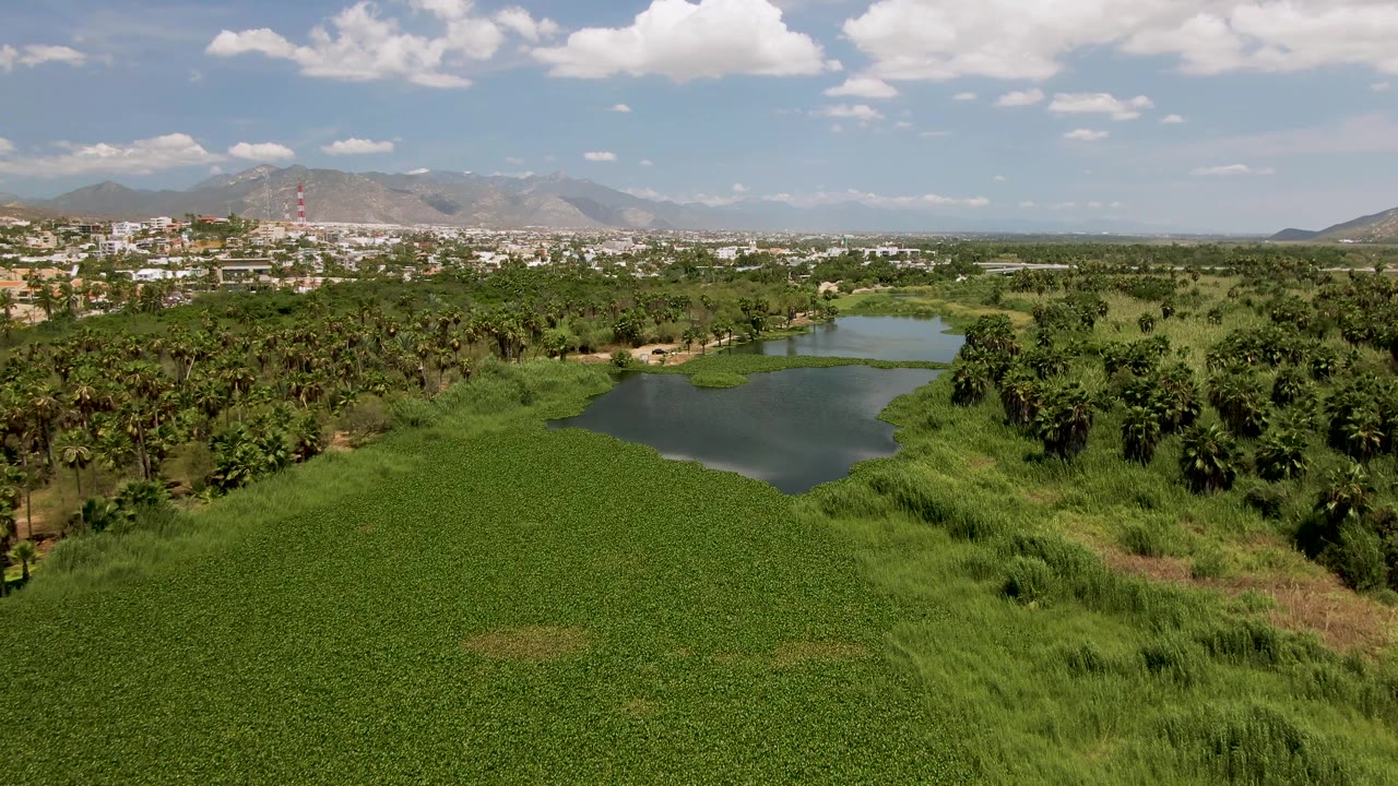 At 0:00, an aerial view over San Jose del Cabo shows a dark pond bordered by thick green vegetation, distant city buildings, low mountains, scattered clouds, and no visible people.