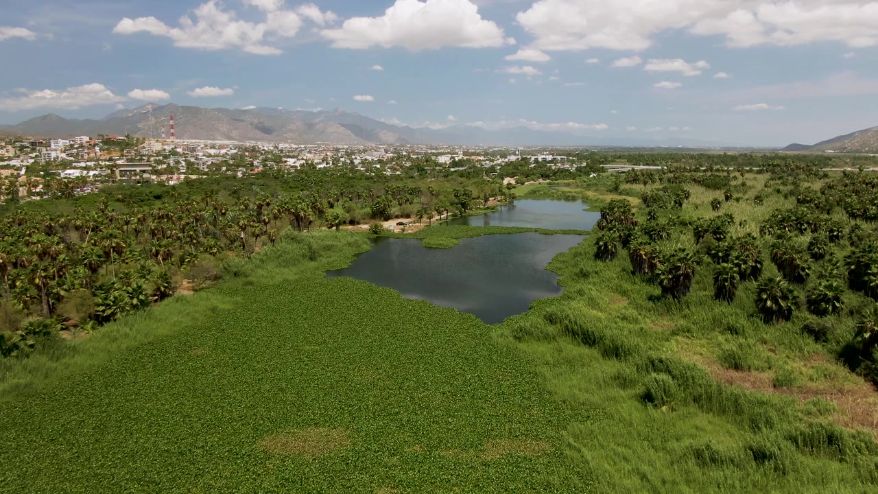 Wide aerial landscape with a pond, green plants, palms, distant buildings, and mountains.