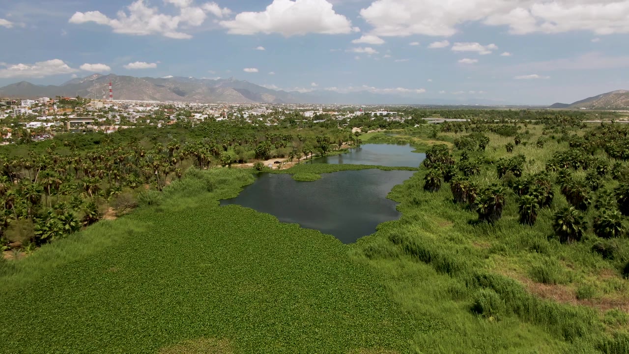 At 0:02, the aerial view shows more green plant cover around the pond, a dense cluster of trees on the right, distant San Jose del Cabo buildings, hazy mountains, and no visible people.