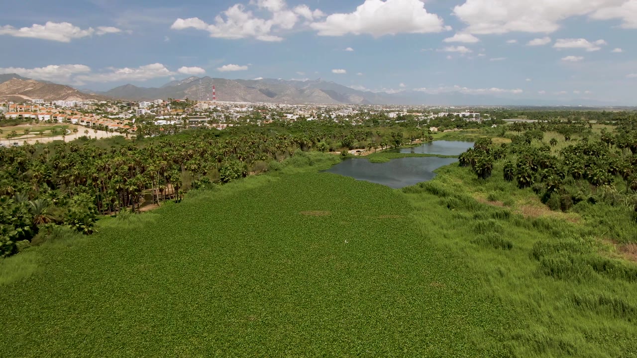 Aerial view of green fields, pond, trees, distant buildings, and mountains.
