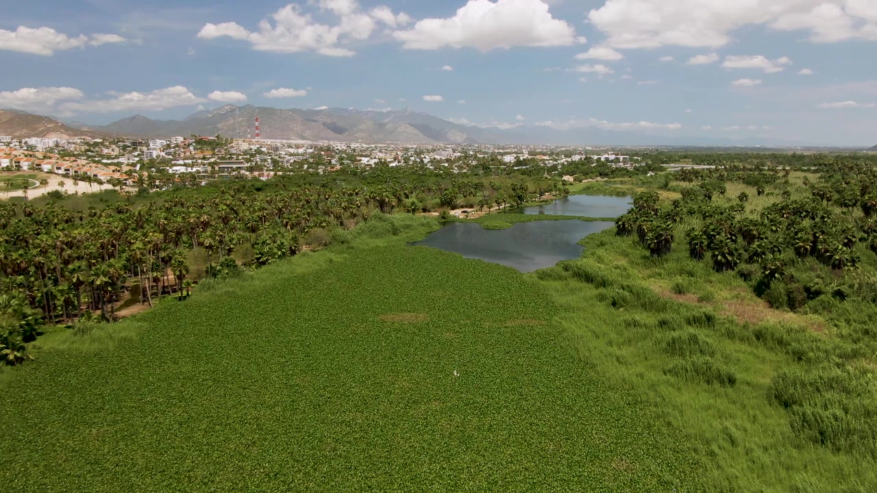 High aerial view in San Jose del Cabo with broad green fields leading to a small reflective pond, palm-like tree groves, distant urban buildings, hazy mountains, cloud shadows, and no visible people.