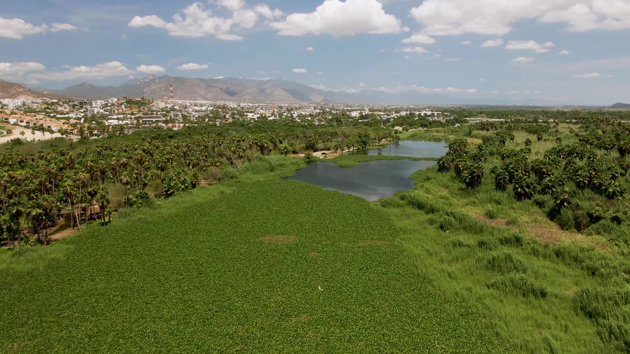 Mid-clip aerial frame over San Jose del Cabo farmland, with the pond more prominent near the center, dense green field cover below, trees along the water, distant buildings, mountain ridges, and no visible people.