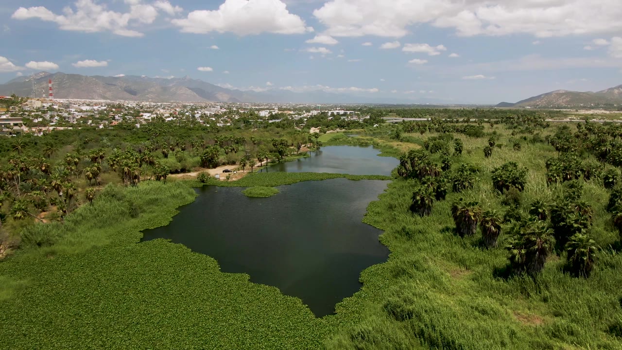 Aerial view over a dark green lake and dense vegetation in San Jose del Cabo, Baja California Sur, with distant city buildings, mountains, scattered clouds, and no visible people.