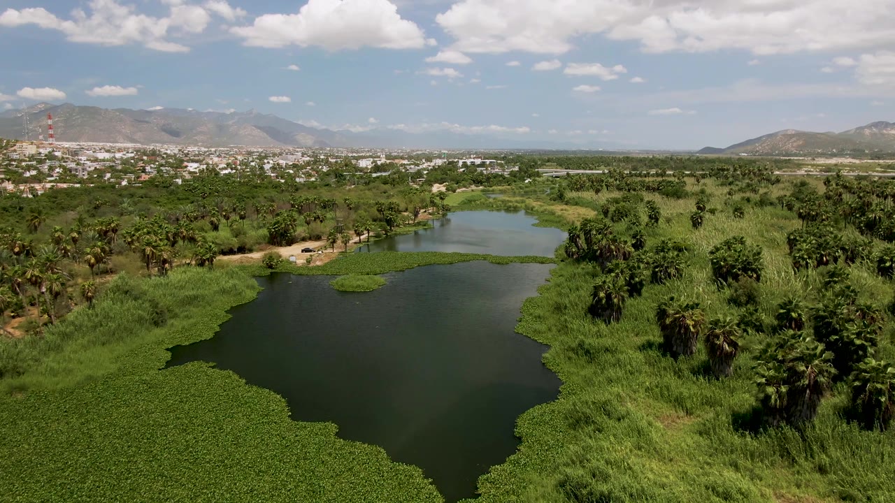 Elevated frame in San Jose del Cabo showing the lake shifted slightly closer, with floating green patches, palms, distant urban development, mountains, and no visible people.
