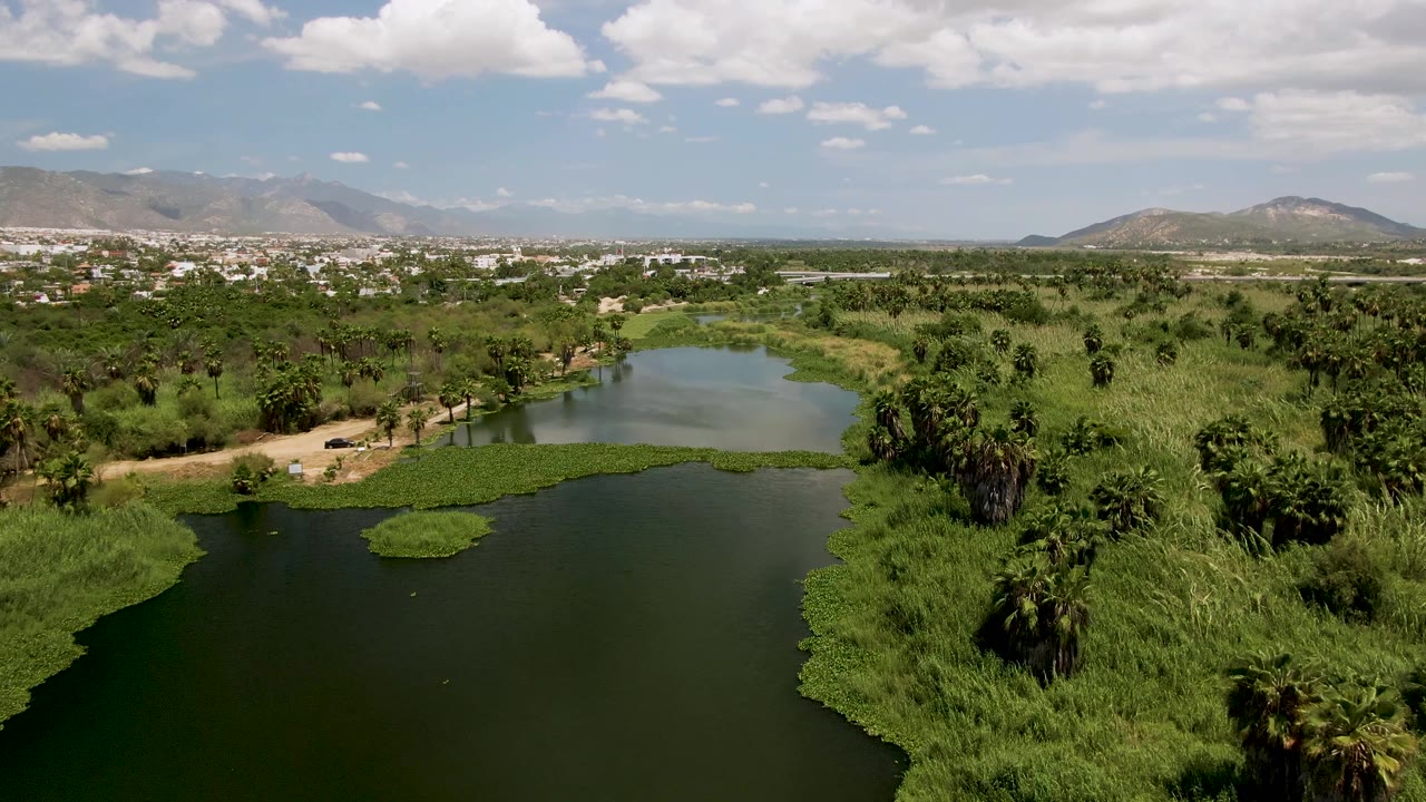 Aerial frame over San Jose del Cabo showing dark green river water in front, a dirt path with a small car at left, dense palms and reeds, distant town, mountains, and no visible people.