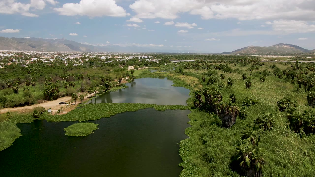 Elevated frame over San Jose del Cabo with dark water in the foreground, a dirt road and small car along the bank, dense green reeds and palms to the right, distant town, mountains, and no visible people.