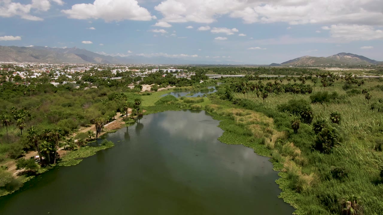 At 0:00, San Jose Del Cabo lake water fills the foreground with floating vegetation near the banks, palms and reeds in the midground, distant hills beyond the town, and no visible people.