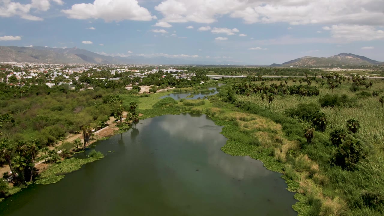 At 0:01, the San Jose Del Cabo aerial view shows more of the lake channel tapering into wetland vegetation, with palms at the banks, a distant town strip, low hills, and no visible people.