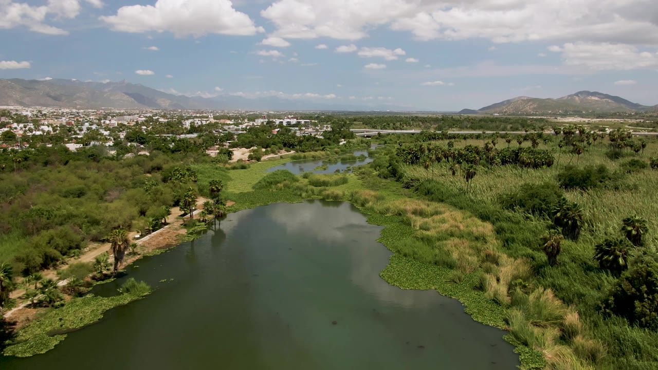 At 0:02, the San Jose Del Cabo lake remains centered below a high horizon, with floating plants along the right bank, palms and reeds across the middle, distant hills, and no visible people.