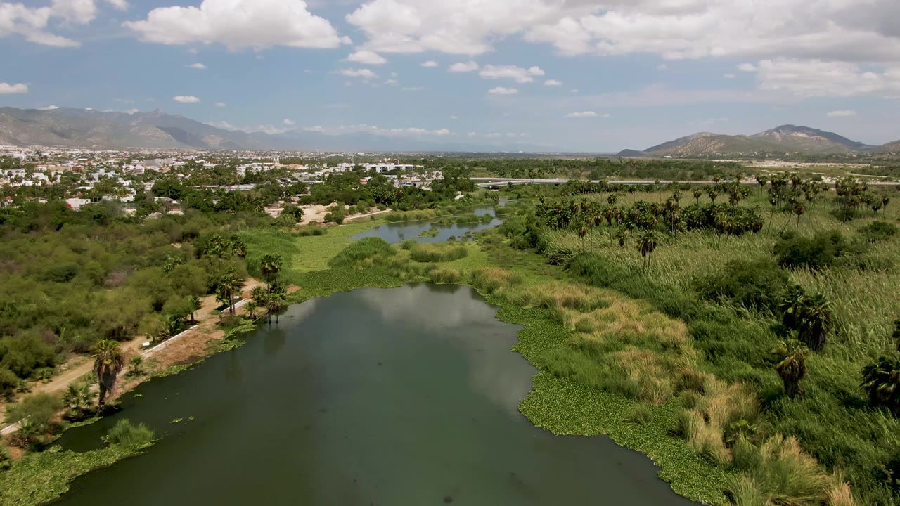 Wide aerial of lake edge, palms, wetland plants, town buildings, hills, and partly cloudy sky.