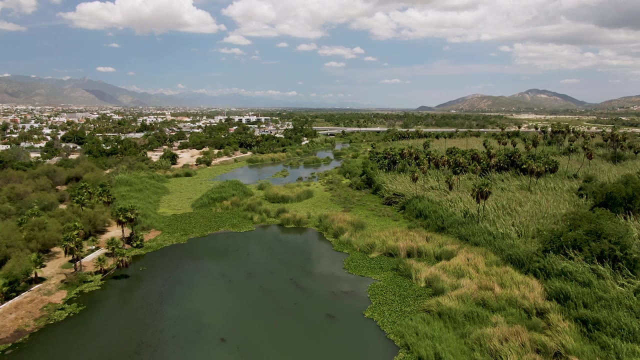 Aerial view in San Jose del Cabo showing a green pond in the foreground, dense reeds and palms in the midground, distant buildings and mountains, and no visible people.