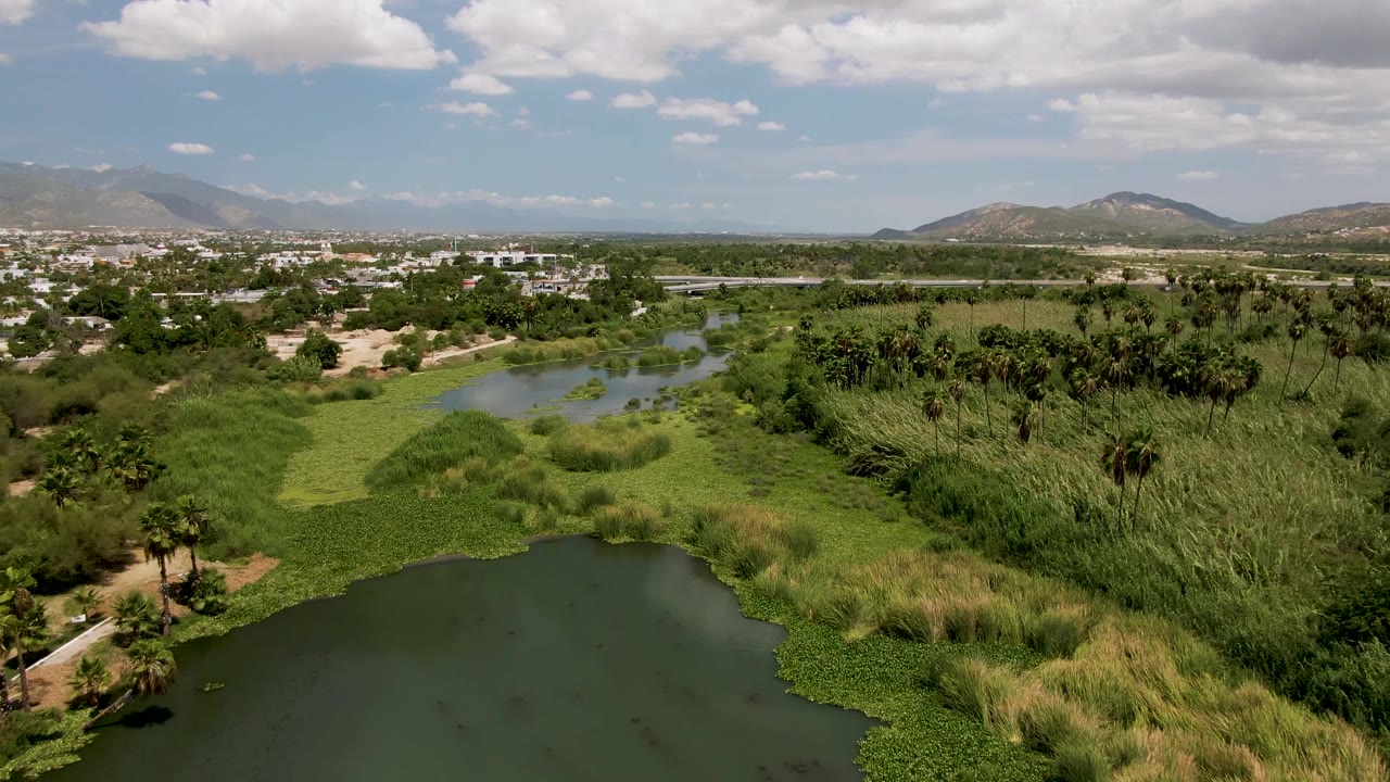San Jose del Cabo aerial frame with pond water at the bottom, thick grasses and palms across the center, low development near the horizon, distant hills, and no visible people.