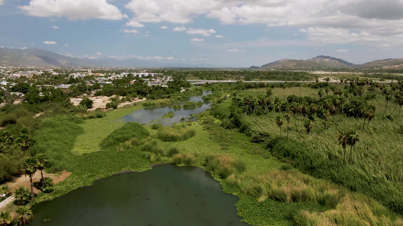 Aerial landscape with pond edge, green reeds, palms, path, buildings, and mountains.