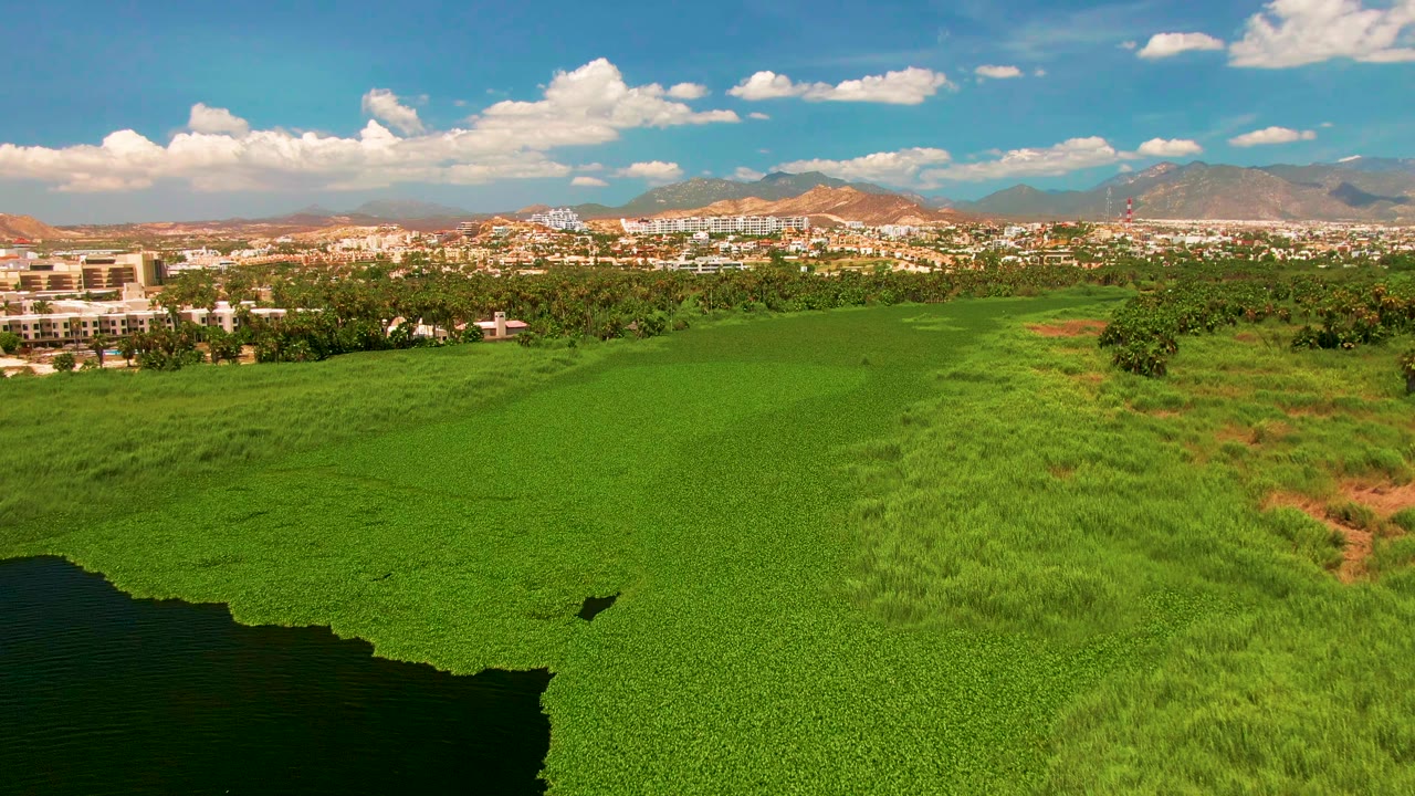 Aerial view of green field, dark water edge, distant buildings, mountains, and blue sky.