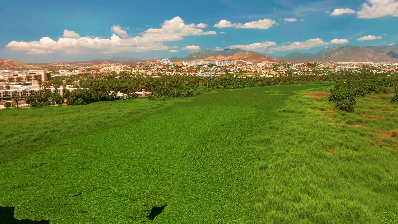 Aerial view in San Jose Del Cabo showing a broad green crop area beside taller grass, distant low buildings, brown mountains, scattered clouds, and no visible people.