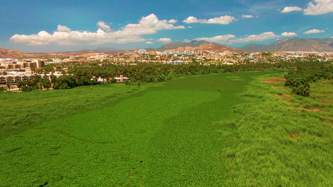 Aerial frame over green farmland in San Jose Del Cabo, with dark water partly visible at the lower left, clustered buildings beyond trees, mountains, clouds, and no visible people.