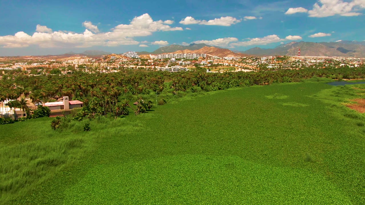 Opening aerial frame over a lush green field in San Jose Del Cabo, with palms and trees ahead, town buildings and mountains in the distance, and no visible people.