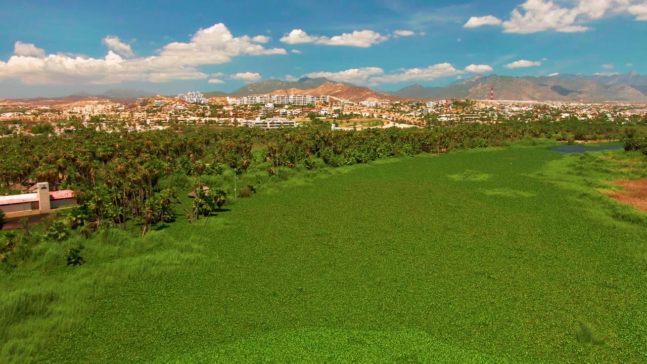 Mid-clip aerial frame in San Jose Del Cabo with a broad green field, trees at the field edge, a small blue water patch, distant buildings, mountains, and no visible people.