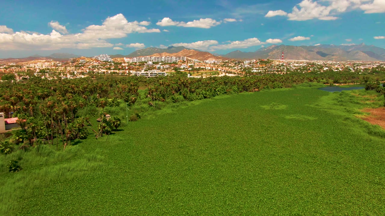 Aerial landscape of green field, trees, town skyline, and mountains.