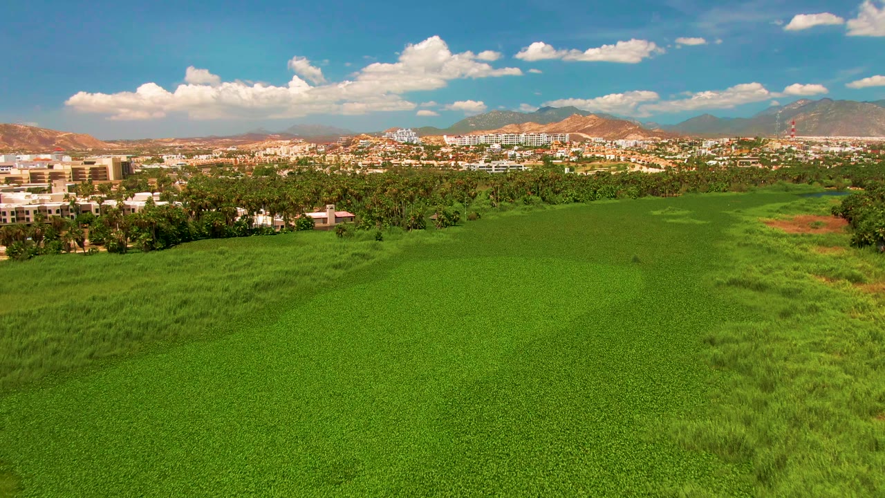 Opening aerial frame over lush green fields in San Jose del Cabo, with trees and low buildings beyond the crops, tan mountains on the horizon, scattered clouds, and no visible people.
