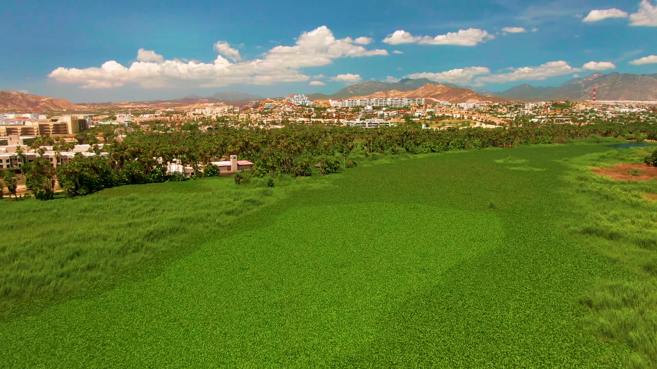 San Jose del Cabo aerial frame with a broad green field, palms and other trees across the midground, scattered buildings near the horizon, tan mountains, bright clouds, and no visible people.