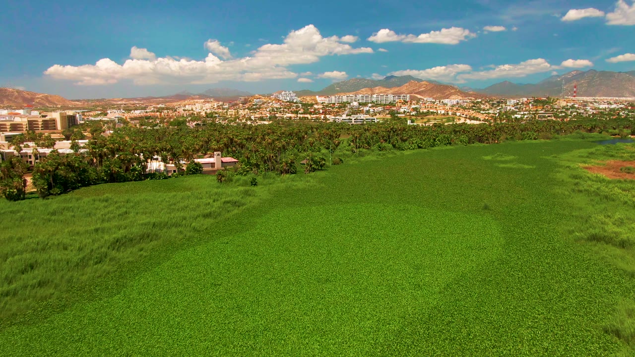 Wide aerial landscape with green crops, trees, town buildings, and mountains.