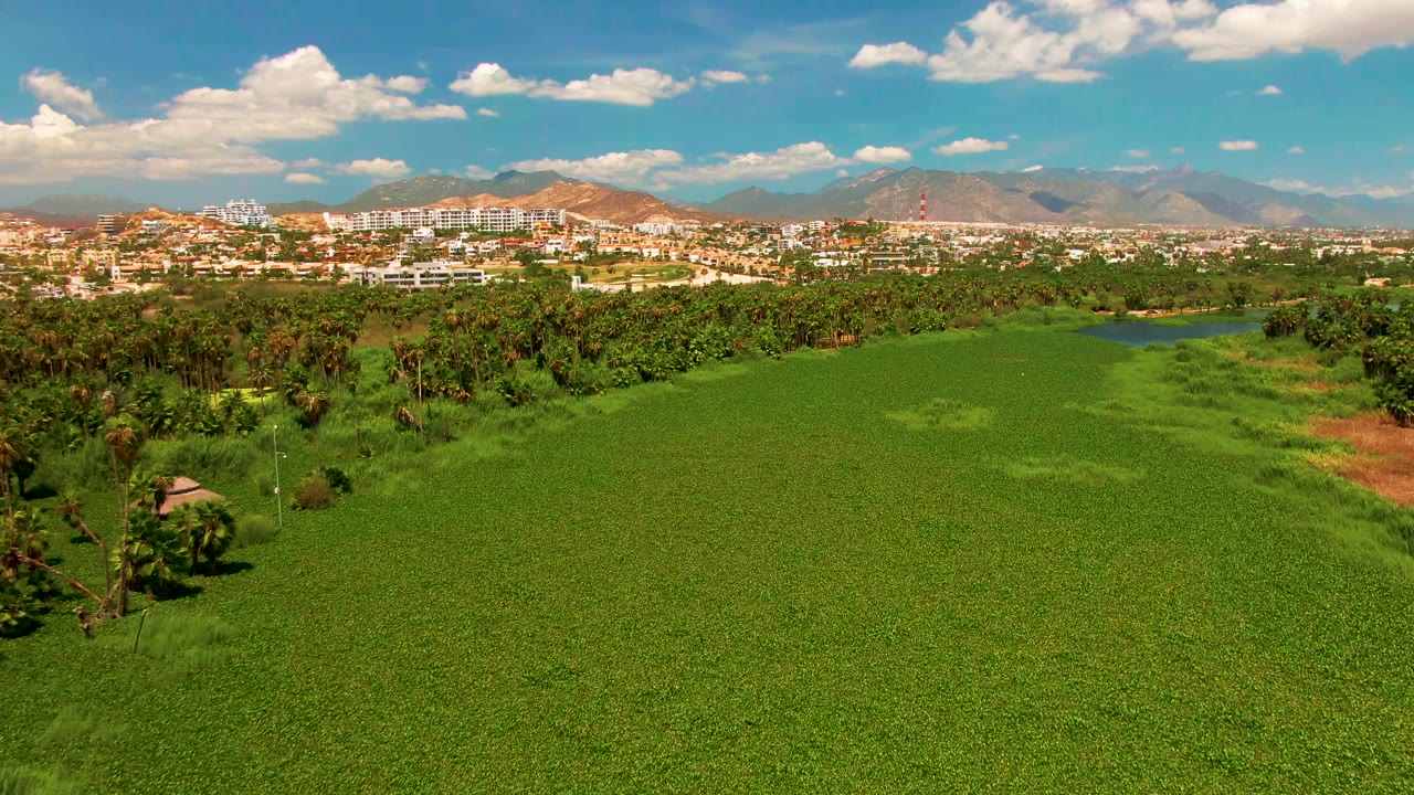 Wide aerial view in San Jose del Cabo, Baja California Sur, with a green field in front, palms and trees beyond, buildings and mountains on the horizon, and no visible people.
