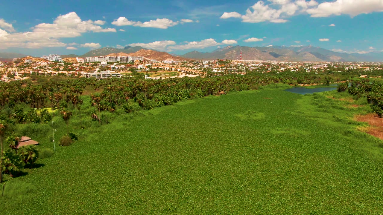 Elevated San Jose del Cabo frame with dense green grass below, a tree line across the middle, light-colored buildings, distant mountains, and no visible people.