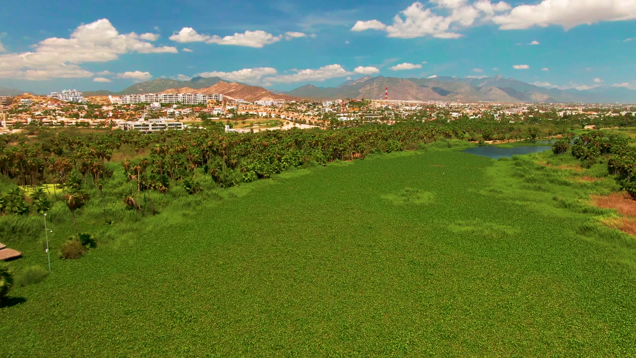 Aerial landscape over San Jose del Cabo showing open green field, palms, a built-up strip near the horizon, dry hills and mountains, and no visible people.