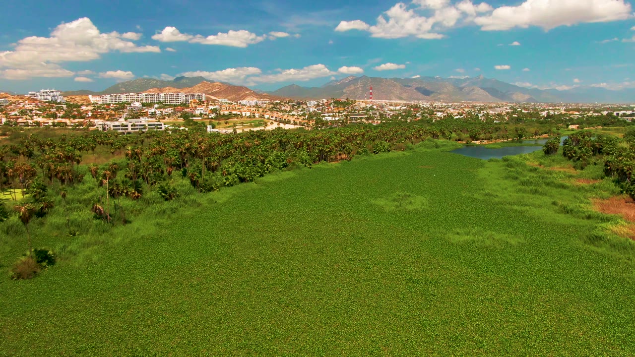 Aerial view with green field, trees, a small water area, buildings, and mountains.
