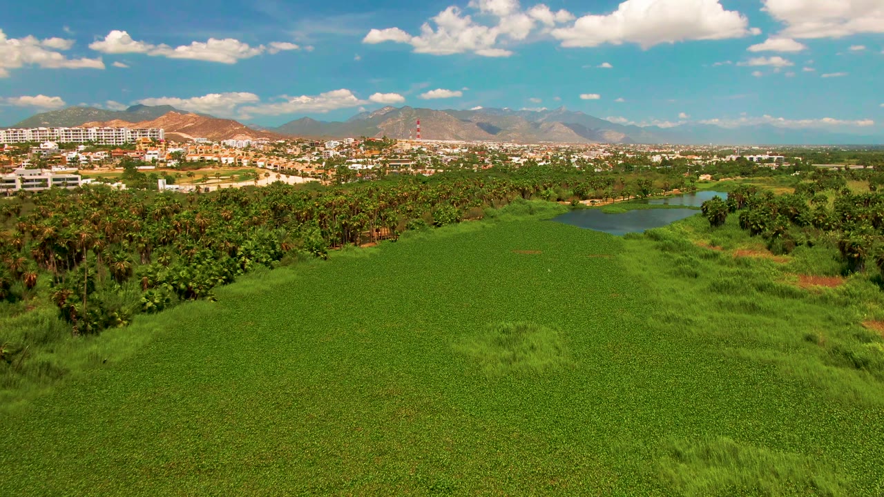 Early frame of San Jose Del Cabo aerial footage showing a broad green field in front, a tree-lined waterway near center right, buildings at left, distant mountains, and no visible people.